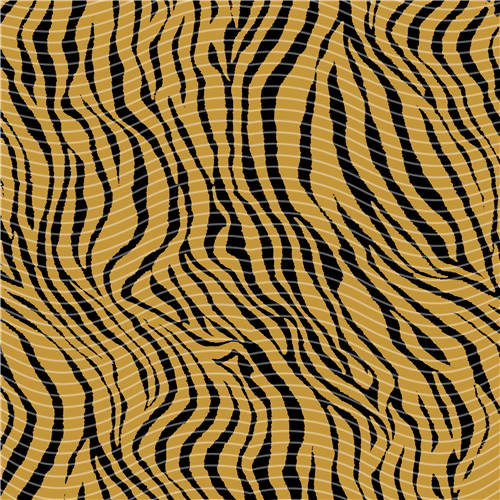 holographic Big- 369